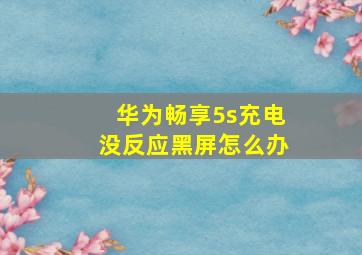 华为畅享5s充电没反应黑屏怎么办