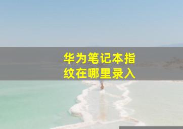 华为笔记本指纹在哪里录入