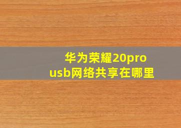 华为荣耀20prousb网络共享在哪里