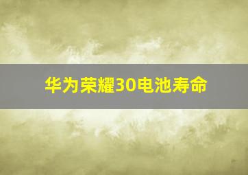 华为荣耀30电池寿命