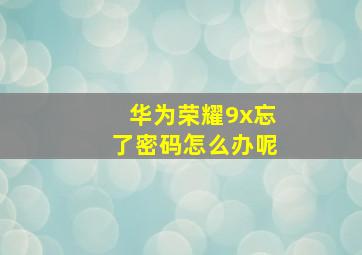 华为荣耀9x忘了密码怎么办呢