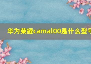 华为荣耀camal00是什么型号