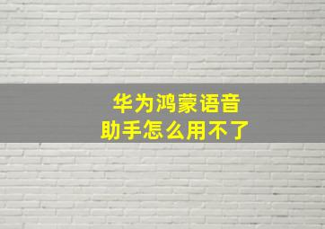 华为鸿蒙语音助手怎么用不了