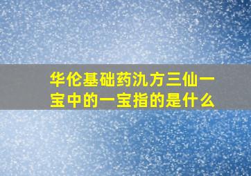 华伦基础药氿方三仙一宝中的一宝指的是什么