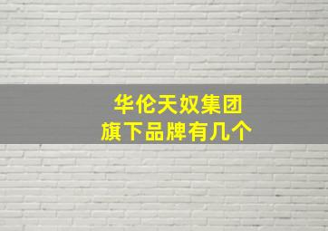 华伦天奴集团旗下品牌有几个