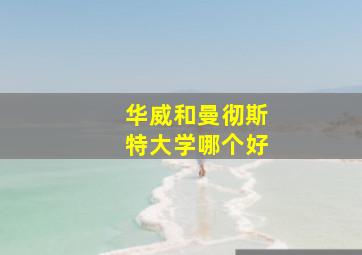 华威和曼彻斯特大学哪个好