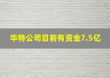 华特公司目前有资金7.5亿