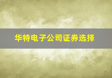 华特电子公司证券选择