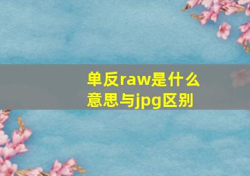 单反raw是什么意思与jpg区别