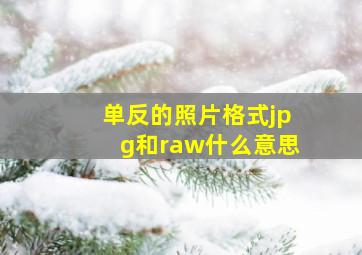 单反的照片格式jpg和raw什么意思