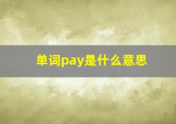 单词pay是什么意思