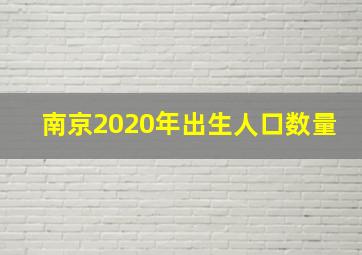 南京2020年出生人口数量