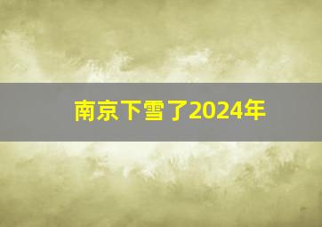 南京下雪了2024年