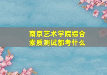 南京艺术学院综合素质测试都考什么