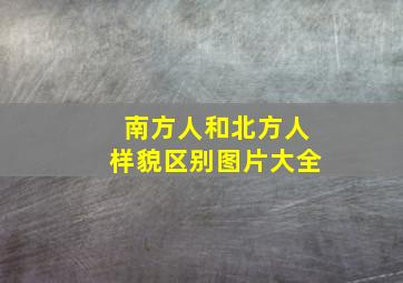 南方人和北方人样貌区别图片大全