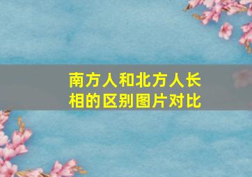 南方人和北方人长相的区别图片对比