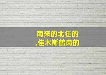 南来的北往的,佳木斯鹤岗的