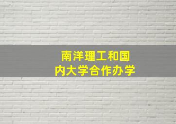 南洋理工和国内大学合作办学