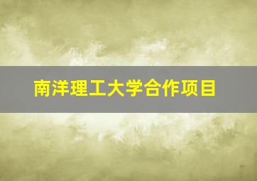 南洋理工大学合作项目