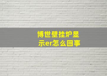 博世壁挂炉显示er怎么回事