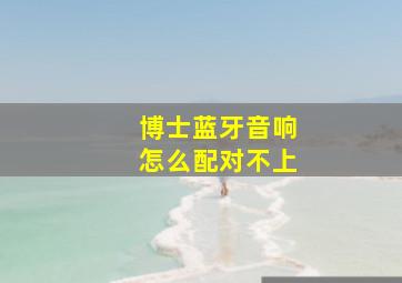 博士蓝牙音响怎么配对不上