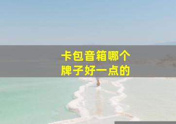 卡包音箱哪个牌子好一点的