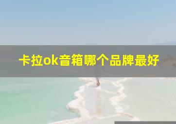 卡拉ok音箱哪个品牌最好