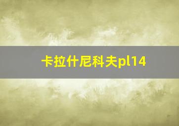 卡拉什尼科夫pl14