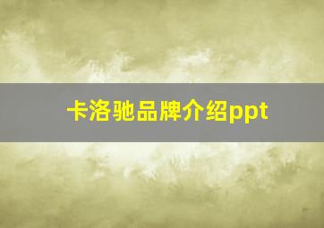 卡洛驰品牌介绍ppt