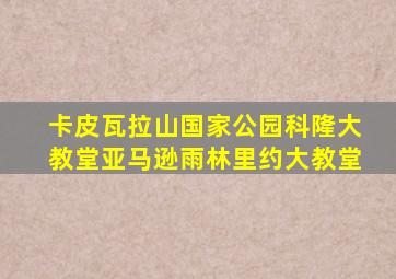 卡皮瓦拉山国家公园科隆大教堂亚马逊雨林里约大教堂