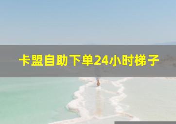 卡盟自助下单24小时梯子