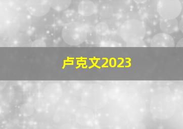 卢克文2023