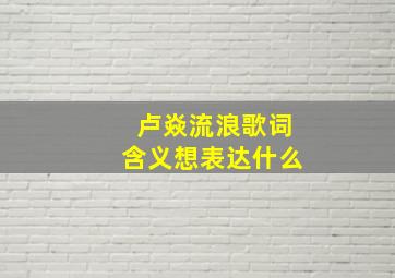 卢焱流浪歌词含义想表达什么