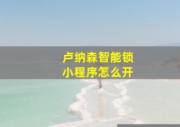 卢纳森智能锁小程序怎么开