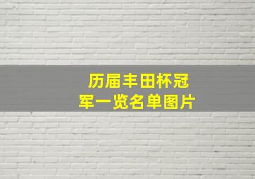 历届丰田杯冠军一览名单图片