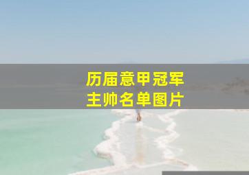 历届意甲冠军主帅名单图片