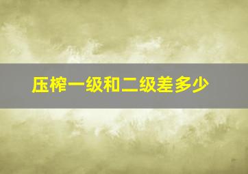 压榨一级和二级差多少