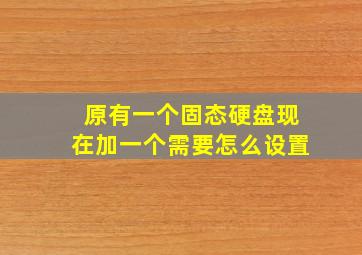 原有一个固态硬盘现在加一个需要怎么设置