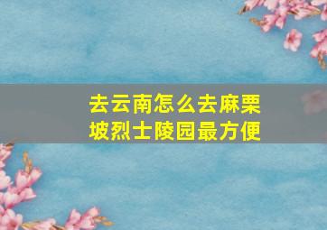 去云南怎么去麻栗坡烈士陵园最方便