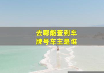 去哪能查到车牌号车主是谁