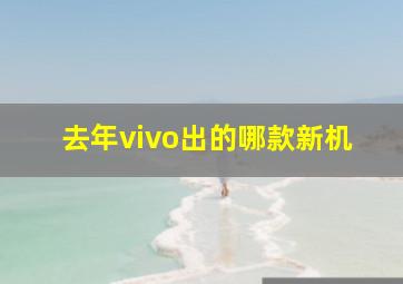 去年vivo出的哪款新机