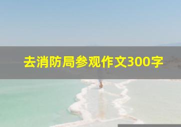 去消防局参观作文300字