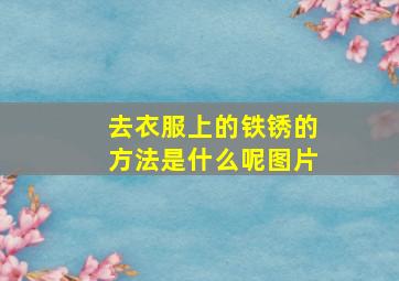 去衣服上的铁锈的方法是什么呢图片