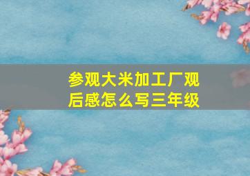 参观大米加工厂观后感怎么写三年级