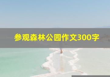 参观森林公园作文300字