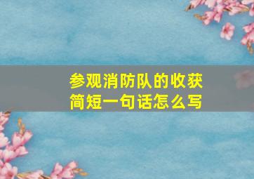 参观消防队的收获简短一句话怎么写