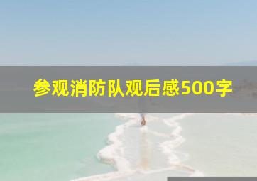 参观消防队观后感500字