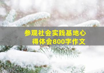 参观社会实践基地心得体会800字作文