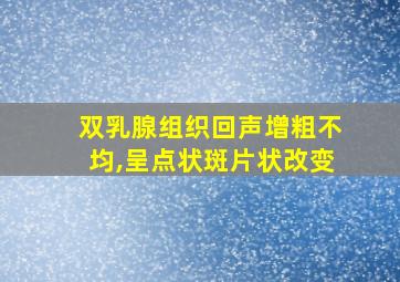 双乳腺组织回声增粗不均,呈点状斑片状改变