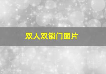 双人双锁门图片